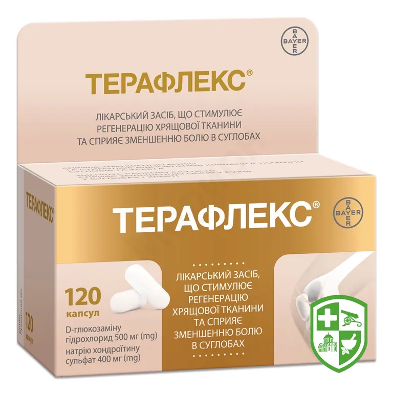 Терафлекс капс. №120