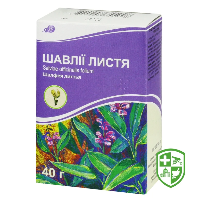 Шавлії листя листя 40.г