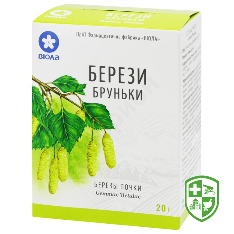 Берези бруньки бруньки 20.г
