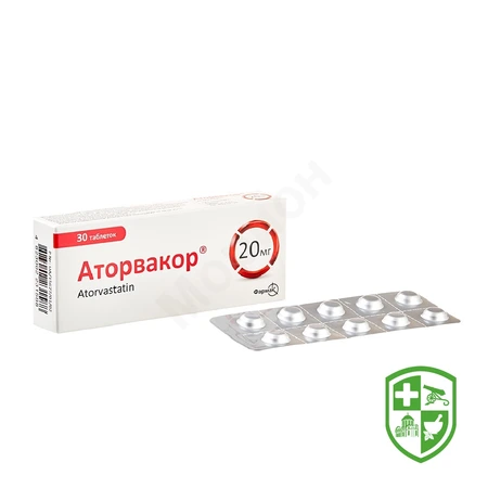 Каталог — Photo 9