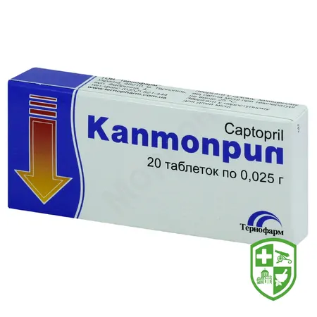 Каталог — Photo 26