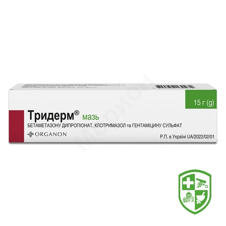 Каталог — Photo 5