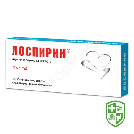 Каталог — Photo 24