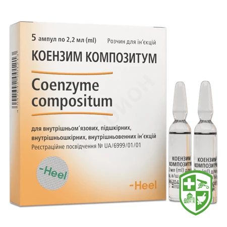 Catalog — Photo 28