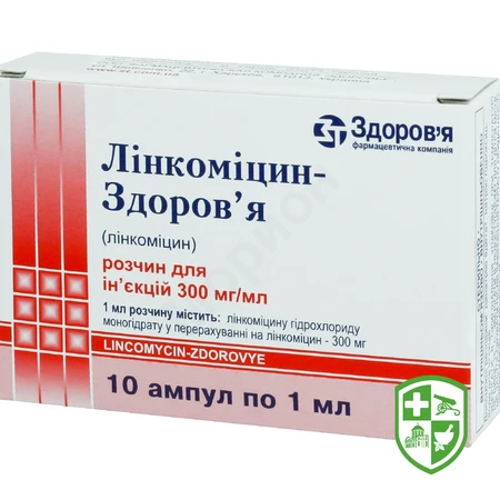 Каталог — Photo 11