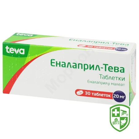 Каталог — Photo 12