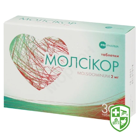 Каталог — Photo 5