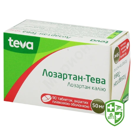 Каталог — Photo 18