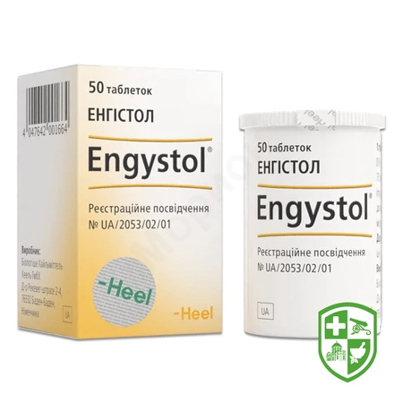 Каталог — Photo 1