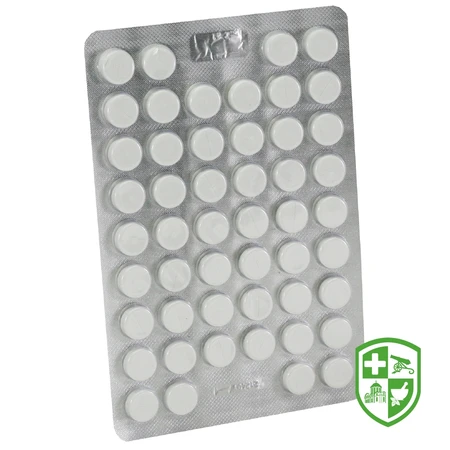 Каталог — Photo 1