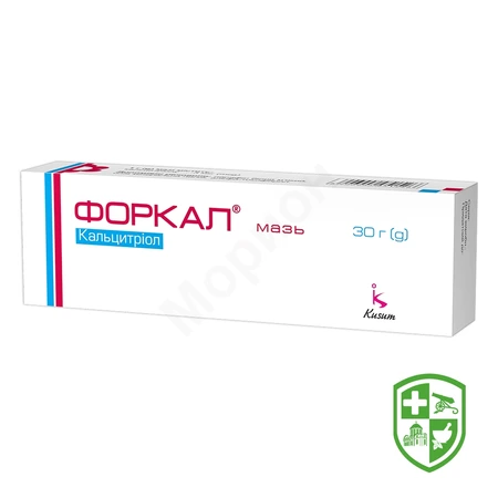 Catalog — Photo 10