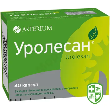 Каталог — Photo 2