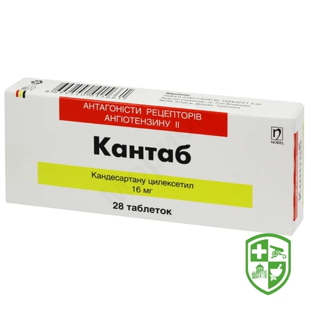 Каталог — Photo 12