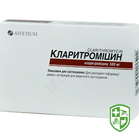 Каталог — Photo 4