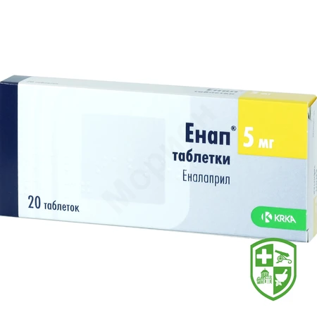 Каталог — Photo 2