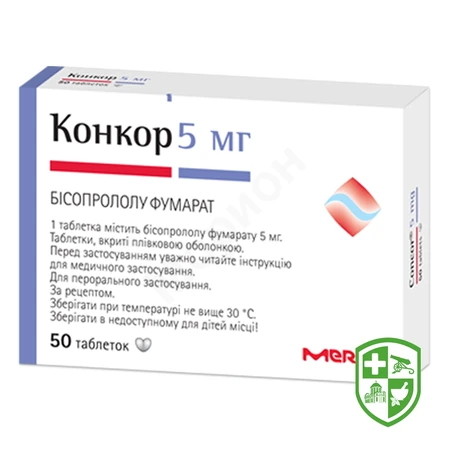 Каталог — Photo 1