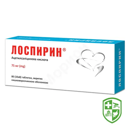 Каталог — Photo 5