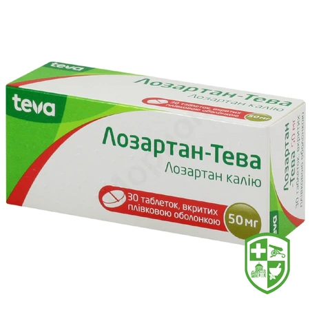 Каталог — Photo 18