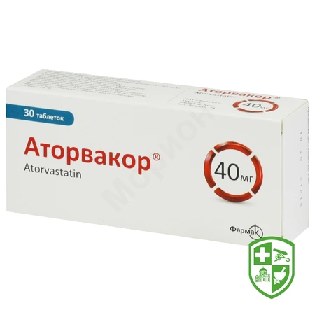 Каталог — Photo 3