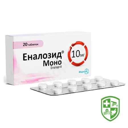 Каталог — Photo 2