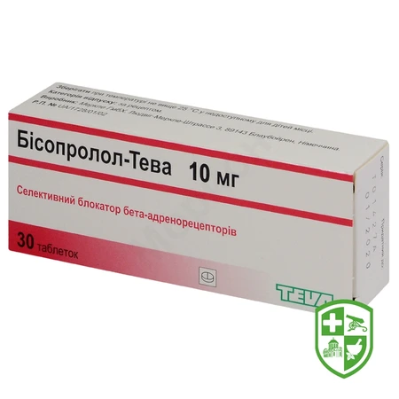 Каталог — Photo 22